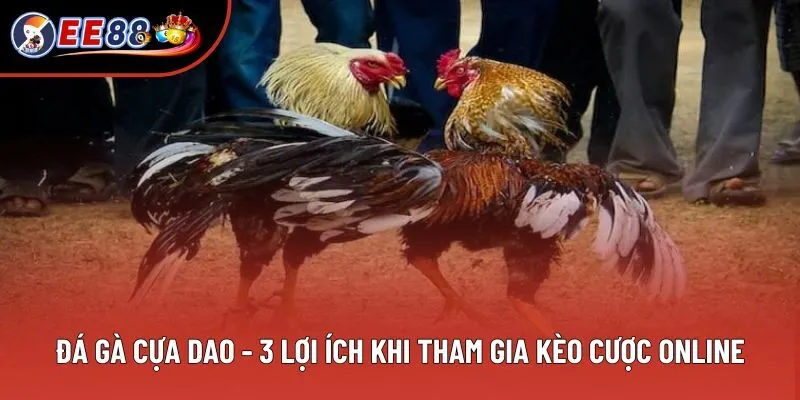 Đá Gà Cựa Dao - 3 Lợi Ích Khi Tham Gia Kèo Cược Trực Tuyến