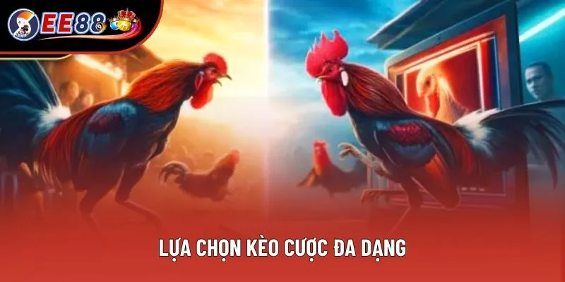 Lựa chọn kèo cược đa dạng
