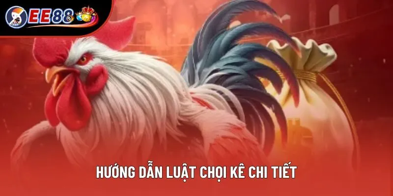 Hướng dẫn luật chọi kê chi tiết