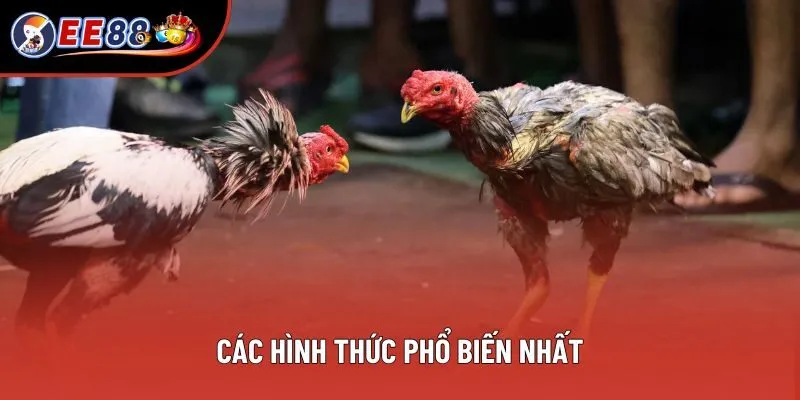 Các hình thức phổ biến nhất