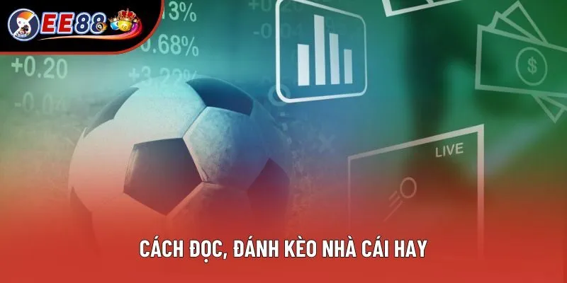 Bí quyết chơi kèo cực đỉnh mà bạn nên biết