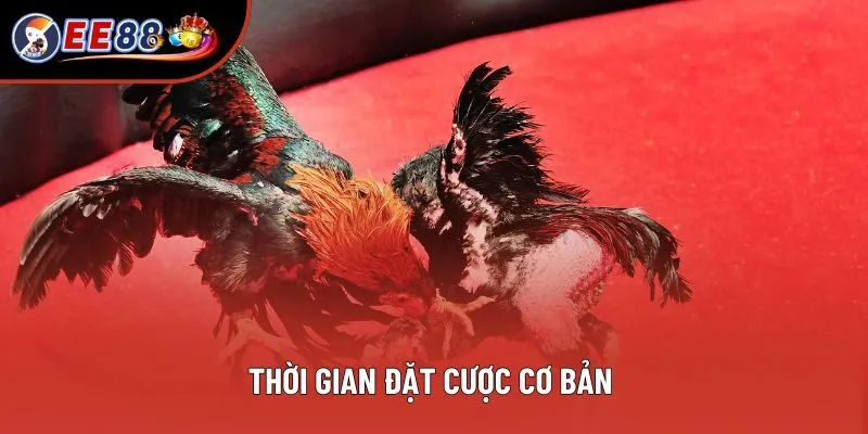Thời gian đặt cược cơ bản Thời gian đặt cược cơ bản