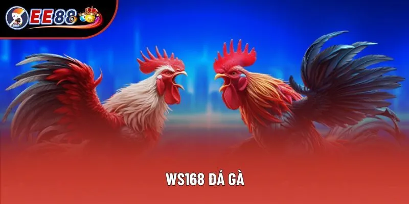 WS168 Đá Gà - Tham Gia Phiên Cược Kịch Tính, Đẳng Cấp 2025