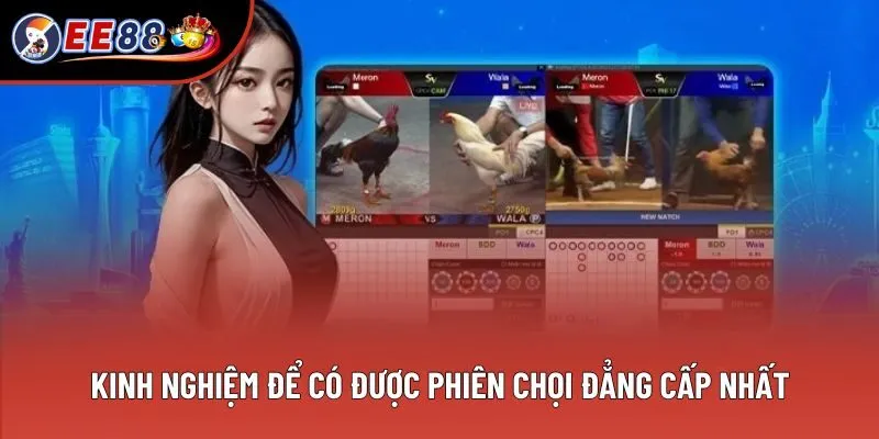 Kinh nghiệm để có được phiên chọi đẳng cấp nhất